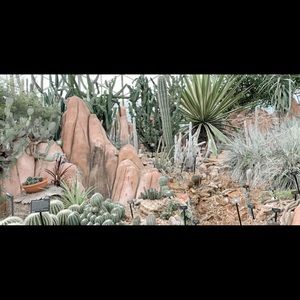 Meet your Posher, Chloe